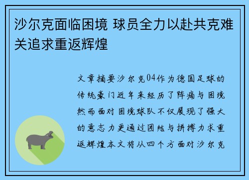 沙尔克面临困境 球员全力以赴共克难关追求重返辉煌