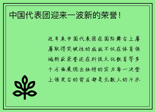 中国代表团迎来一波新的荣誉！